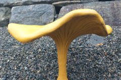 IMG_20241026_093551676