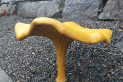 IMG_20241026_093621894