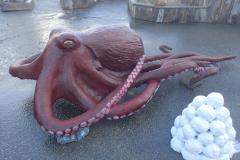 Stillehavsblekksprut, cirka  2 meter